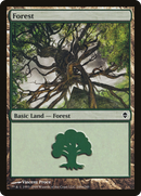 Forest (249a) [Zendikar] - The Mythic Store | 24h Order Processing