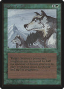Aspect of Wolf [Beta Edition] - The Mythic Store | 24h Order Processing