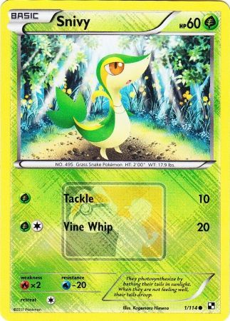 Snivy (1/114) (League Promo) [Black & White: Base Set] - The Mythic Store | 24h Order Processing
