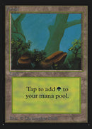Forest (Two Stones) [Collectors' Edition] - The Mythic Store | 24h Order Processing