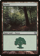 Forest (112) [Duels of the Planeswalkers] - The Mythic Store | 24h Order Processing