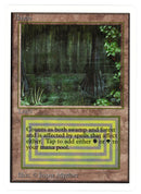 Bayou [Unlimited Edition] - Scan 10059 - The Mythic Store | 24h Order Processing