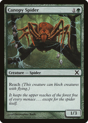 Canopy Spider [Tenth Edition] - The Mythic Store | 24h Order Processing