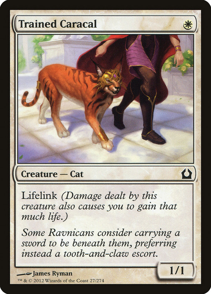 Trained Caracal [Return to Ravnica] - The Mythic Store | 24h Order Processing