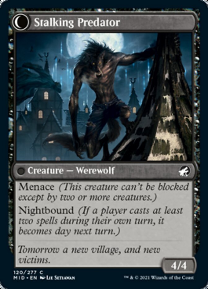 Shady Traveler // Stalking Predator [Innistrad: Midnight Hunt] - The Mythic Store | 24h Order Processing