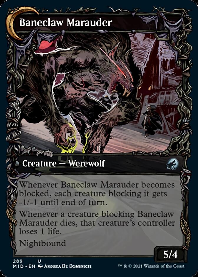 Baneblade Scoundrel // Baneclaw Marauder (Showcase Equinox) [Innistrad: Midnight Hunt] - The Mythic Store | 24h Order Processing