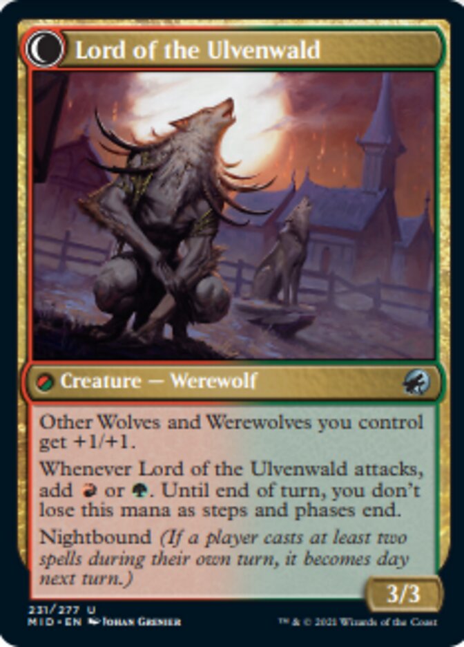 Kessig Naturalist // Lord of the Ulvenwald [Innistrad: Midnight Hunt] - The Mythic Store | 24h Order Processing