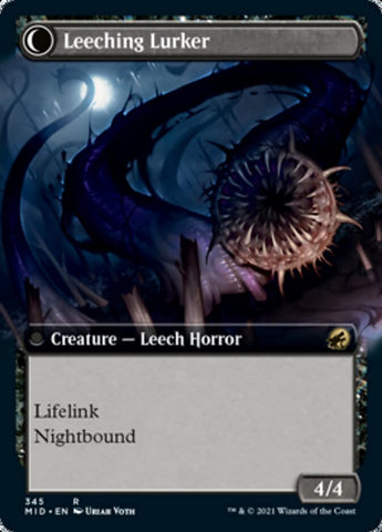 Curse of Leeches // Leeching Lurker (Extended Art) [Innistrad: Midnight Hunt] - The Mythic Store | 24h Order Processing