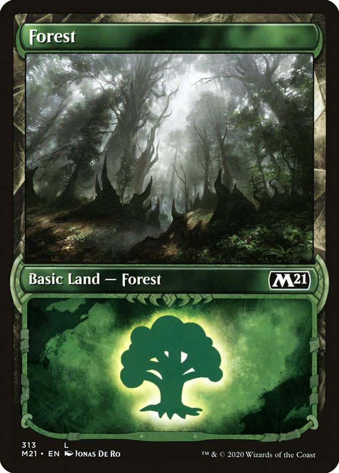 Forest (313) (Showcase) [Core Set 2021] - The Mythic Store | 24h Order Processing