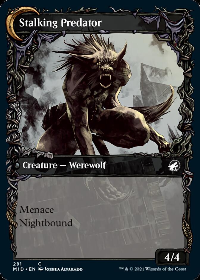 Shady Traveler // Stalking Predator (Showcase Equinox) [Innistrad: Midnight Hunt] - The Mythic Store | 24h Order Processing