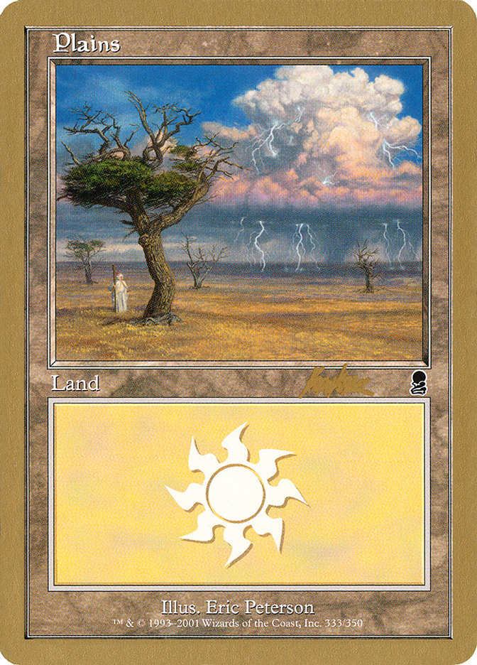 Plains (bk333) (Brian Kibler) [World Championship Decks 2002] - The Mythic Store | 24h Order Processing